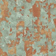 Rurty metal behaang Noordwand Grunge g45361