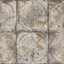 Old tiles behaang Noordwand Grunge g45373