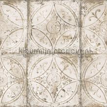 Old tiles behaang Noordwand Grunge g45374