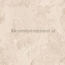 Old plastered wall papel de parede Noordwand quadrado 
