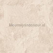 Old plastered wall papier peint Noordwand Grunge g45378