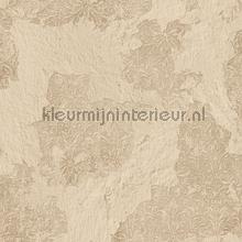 Old plastered wall papel de parede Noordwand quadrado 