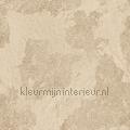 Old plastered wall wallcovering g45379 Grunge Noordwand