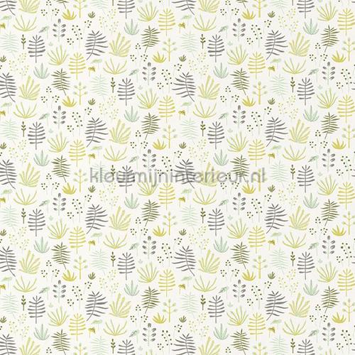 All Over Jungle Hpdm Wallcovering Happy Dreams Casadeco