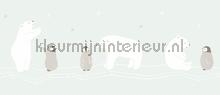 Polar bear papier peint Casadeco Wallpaper creations 