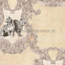 Tijgers en ornamenten papier peint AS Creation Hermitage 10 335432