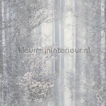 Romantische bossen behang Dutch Wallcoverings behang 