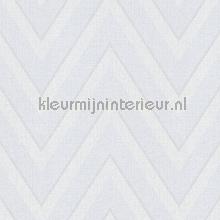 Calm move behang AS Creation Hygge 363841