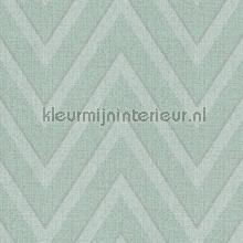 Calm move behang AS Creation Hygge 363844
