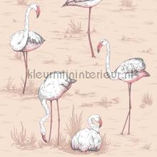 Flamingos papel pintado Cole and Son Icons 112-11039