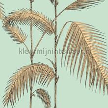 Palm Leaves papel pintado Cole and Son Icons 112-2006