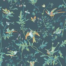 Hummingbirds papel de parede 112-4014 Icons Cole and Son