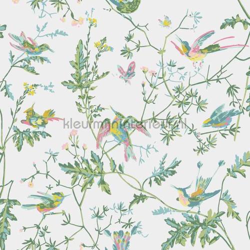 Hummingbirds tapet 112-4015 Icons Cole and Son