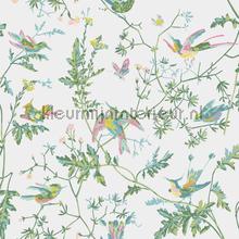 Hummingbirds tapet 112-4015 Icons Cole and Son