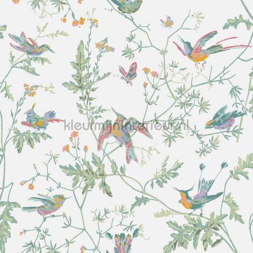 Hummingbirds tapet 112-4016 romantisk moderne Cole and Son