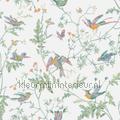 Hummingbirds tapet 112-4016 Icons Cole and son