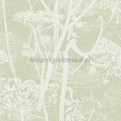 Cow Parsley papel de parede 112-8029 Icons Cole and Son