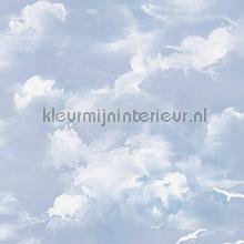 Wolkenlucht behang AS Creation Il Decoro 5604-14