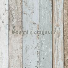 96925 wallcovering AS Creation sale wallcovering 