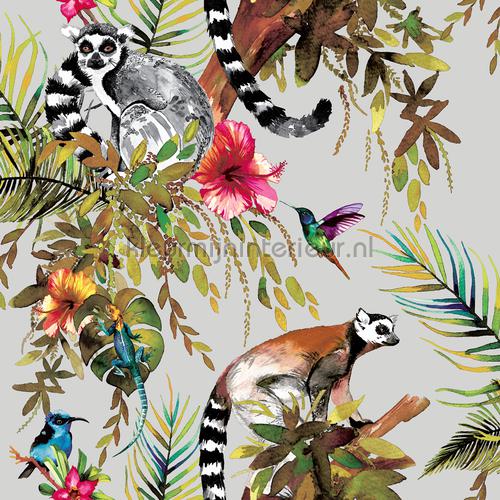 Maki in de tropics behang 12401 jungle Dutch Wallcoverings