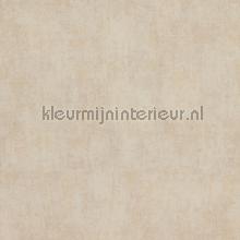 Verweerde kleurschakeringen papier peint 218535 Indian Summer BN Wallcoverings