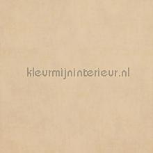 Verweerde kleurschakeringen papier peint 218546 Indian Summer BN Wallcoverings