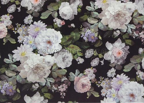 White romatic flowers black background fotobehang m701 Indigo AdaWall