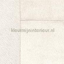 Appaloosa L ours blanc tapeten Elitis weltraum 