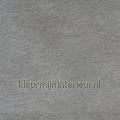 Movida grijs papel pintado VP-625-05 Moderno - Abstracto Estilos
