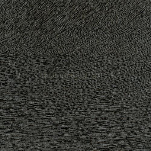 Movida Braver les normes wallcovering VP 625 06 Indomptee Elitis