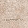 Movida un alezan au crin dore wallcovering VP 625 40 Indomptee Elitis