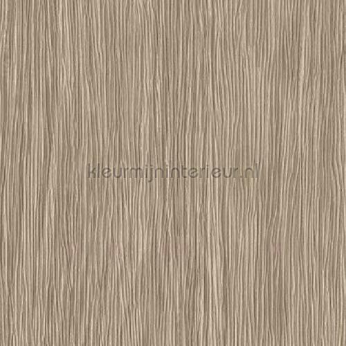 Habitus houtnerf look krasvast papier peint rrd7464n interiors York Wallcoverings