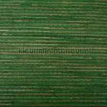 Bamboe groen beige papel de parede Rodeka Innovations 30-022