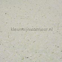 Pijlwortel ecru papier peint Rodeka Innovations gpw-ivad-109
