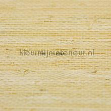 Pijlwortel beige papier peint Rodeka Innovations gpw-ivad-800