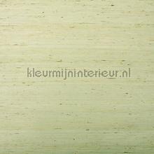 Pijlwortel stukjes papier peint Rodeka Innovations gpw-ivad-801