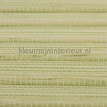 Jute en sisal naturel papier peint Rodeka Innovations gpw-ivjsd-808