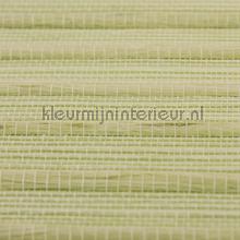 Jute en sisal naturel tapeten Rodeka Innovations gpw-ivjsd-808