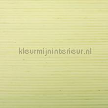 Jute en sisal naturel papel pintado Rodeka Innovations gpw-ivjsd-808