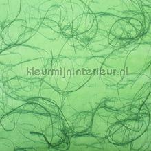 Rush vaalgroen papier peint Rodeka Innovations gpw-ivrd-114