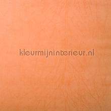 Medium crushed silk zalmoranje papier peint Rodeka Innovations gpw-ivsd-121