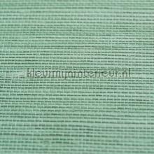 Sisal licht mint papel pintado Rodeka Innovations gpw-ivsld-0507