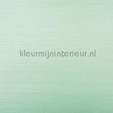 Sisal licht mint papier peint Rodeka Innovations gpw-ivsld-0507