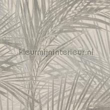 Palm de luxe papel pintado BN Wallcoverings Interior Affairs 218744
