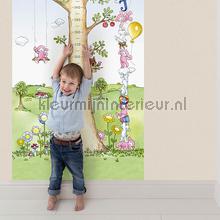 toise groeimeter behang ll6001 Baby - Peuter Hookedonwalls