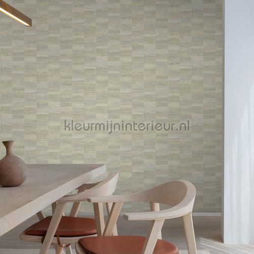  wallcovering 12491 Modern - Abstract Hookedonwalls