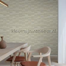  wallcovering 12491 Modern - Abstract Hookedonwalls