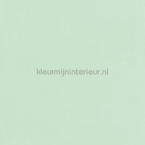Glad Vlies Behang Mint Wallcovering Plain Colors Caselio Glad Vlies Behang Mint Wallcovering Plain Colors Caselio