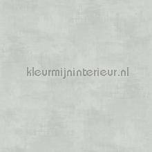 Kalk effect licht grijsblauw papier peint Dutch Wallcoverings Kalk 61018