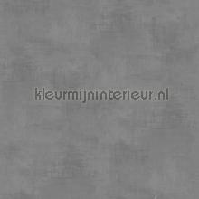 Kalk effect warm bruingrijs papel pintado 61025 Moderno - Abstracto Dutch Wallcoverings